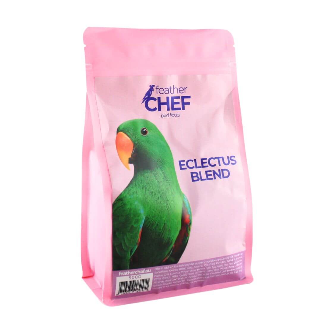 Eclectus Blend