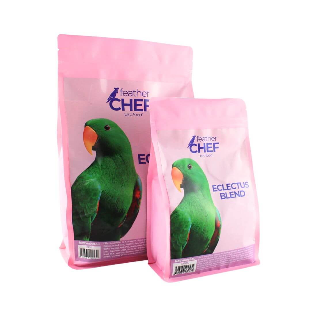 Eclectus Blend