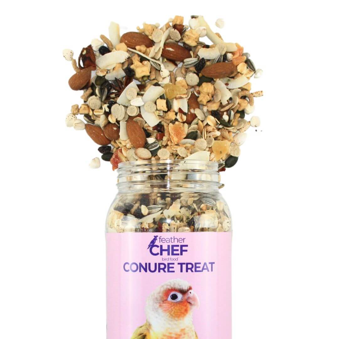 Conure Treat 350g