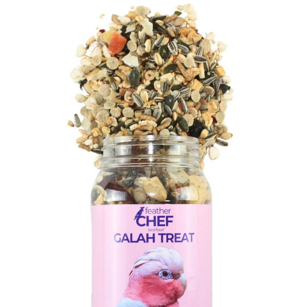 Galah Treat 350g