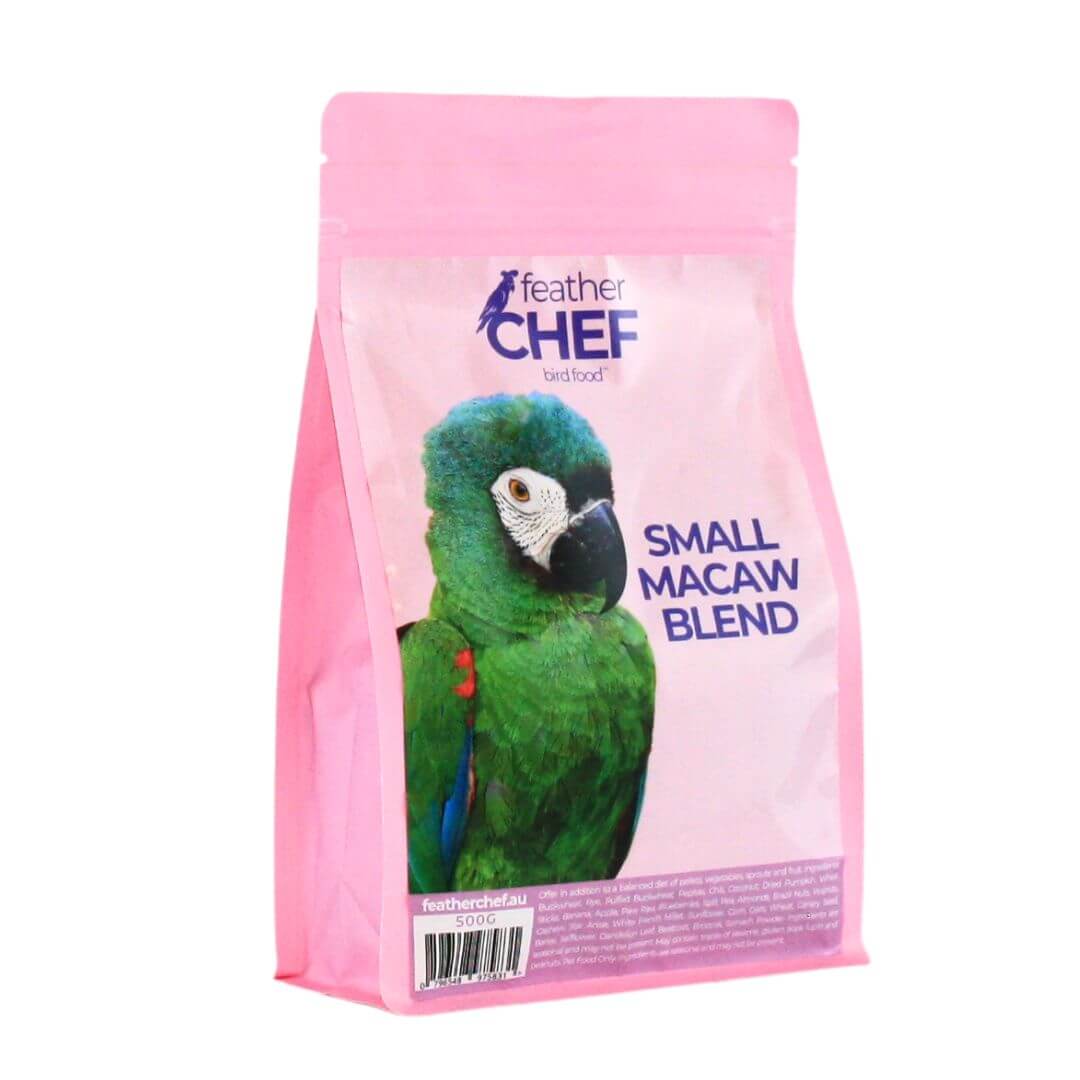 Small Macaw Blend