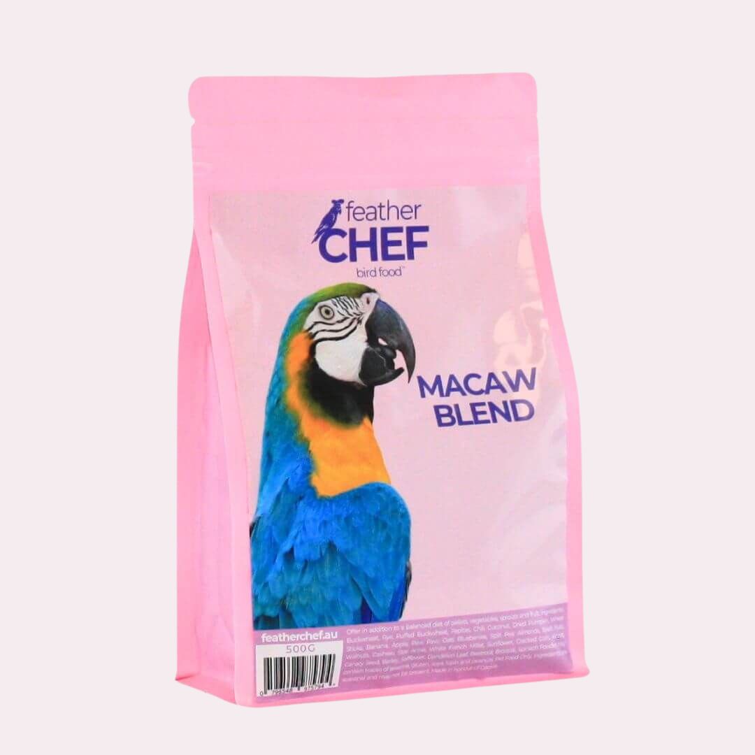 Macaw Blend