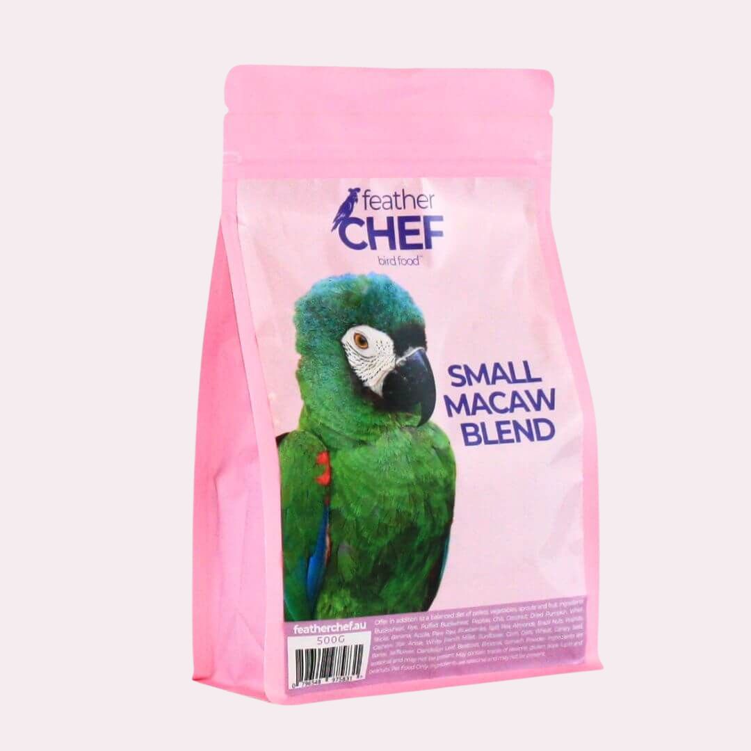 Small Macaw Blend